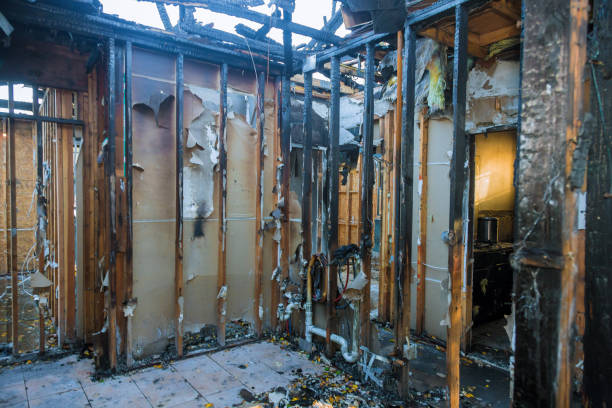 Professional Soot Cleanup technician working in Safety Harbor, FL