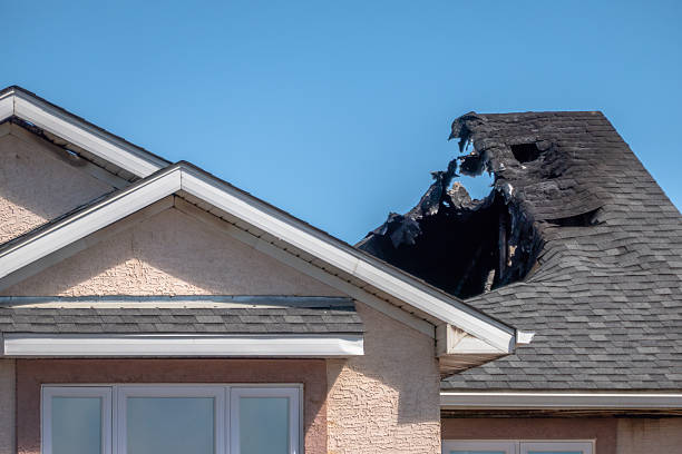 Top rated local Soot Cleanup specialists in Safety Harbor, FL